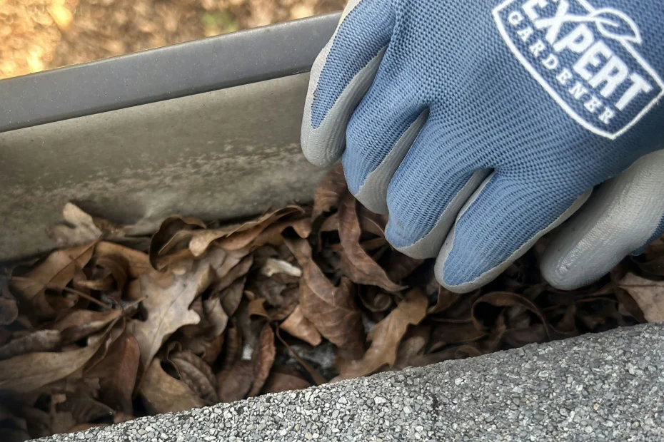 Gutter Cleaning Clermont