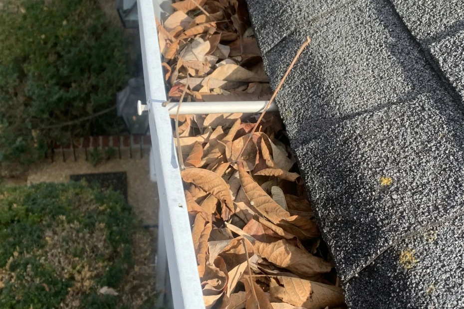 Gutter Cleaning Clermont