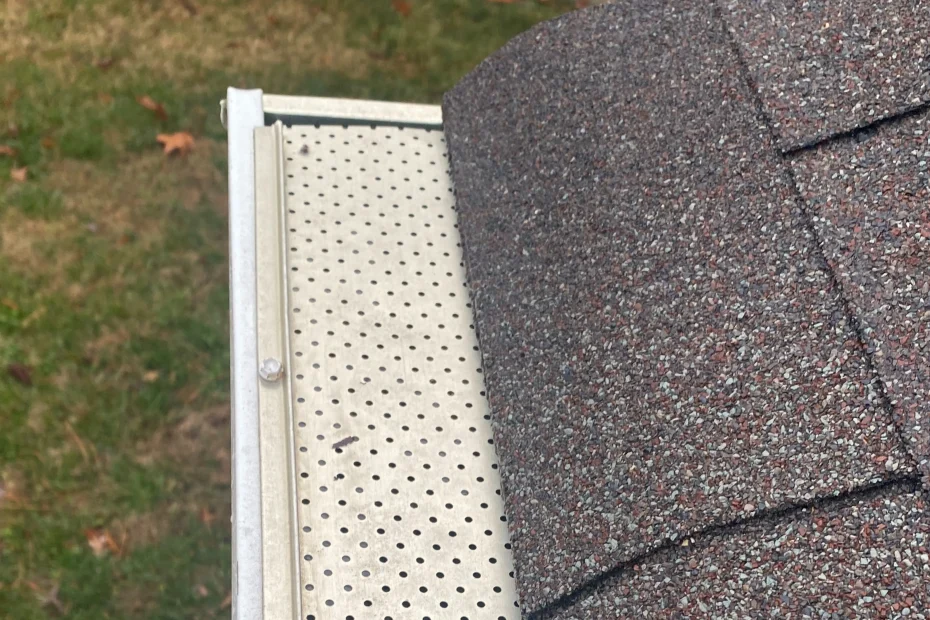 Gutter Cleaning Clermont