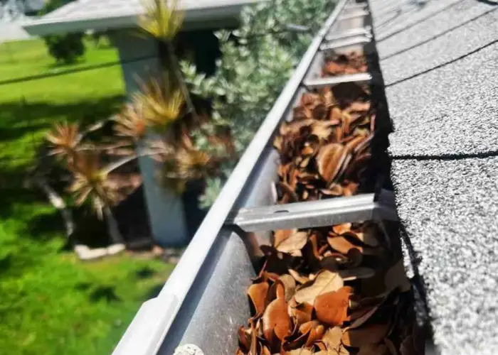 Gutter Cleaning Clermont home page